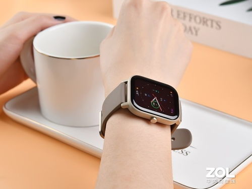 钛金属艺术之作 Amazfit GTS钛金版图赏
